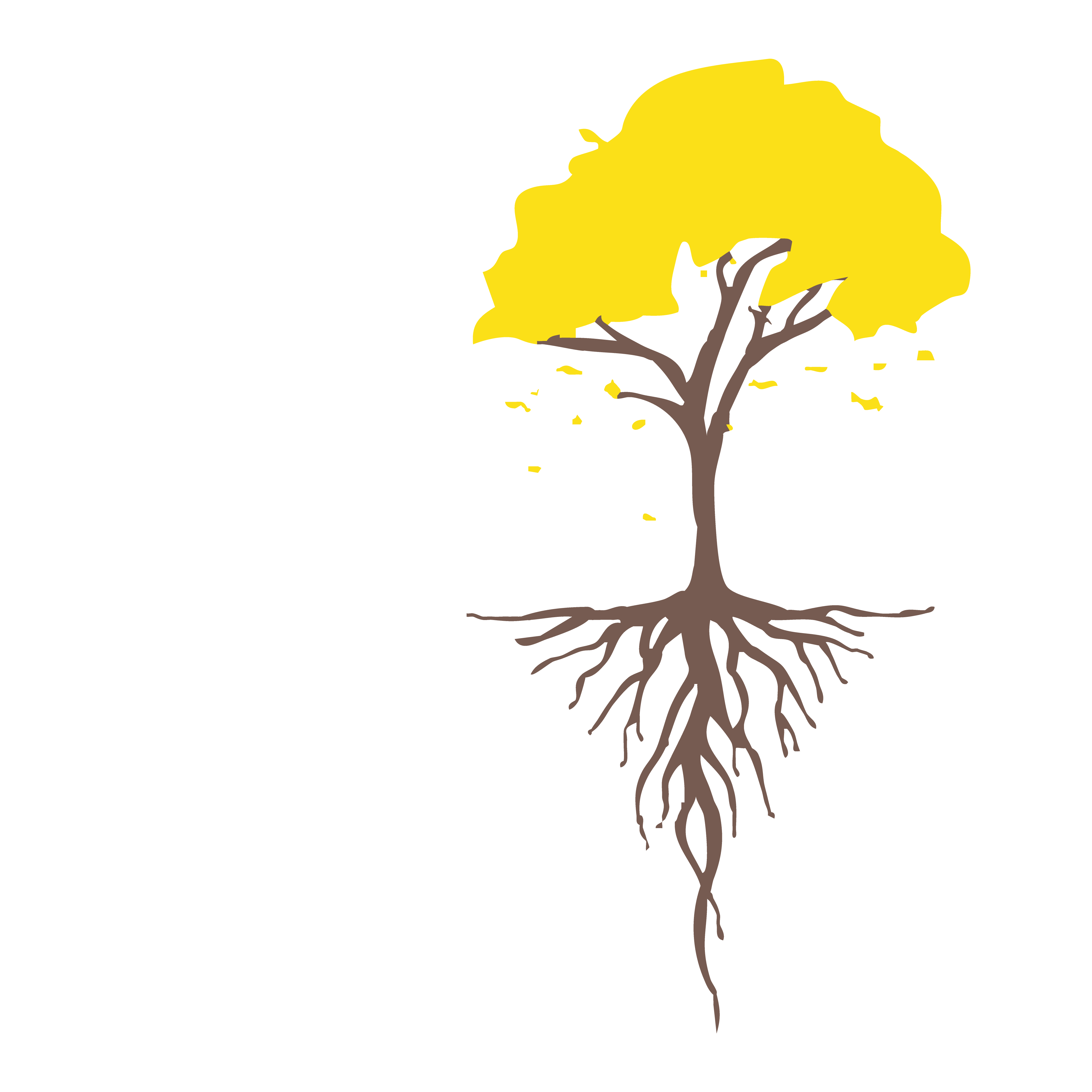 redecraibeira.org